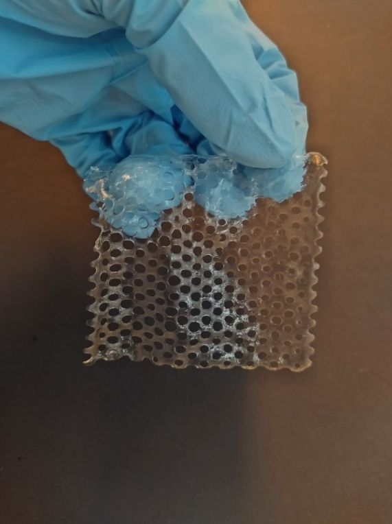 Impresiónn 3D de andamios de hidrogeles de doble red con miel y nanoláminas multifuncionales.