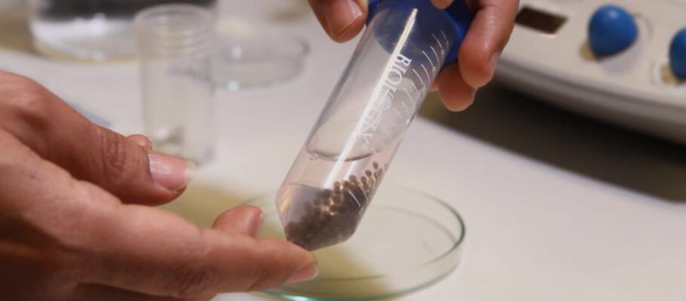 Doctorado en Ciencias de la Ingeniería, mención Ciencia de los Materiales